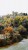 LANDSCAPE URBAN PARCO AGROTURISTICO MALINGRI BAGNOLO PIEMONTE ISOLARCHITETTI 03