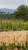 LANDSCAPE URBAN PARCO AGROTURISTICO MALINGRI BAGNOLO PIEMONTE ISOLARCHITETTI 06