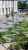 LANDSCAPE URBAN PIAZZA FORO BOARIO ISOLARCHITETTI 02