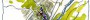 LANDSCAPE URBAN MASTERPLAN ZIPA VERDE JESI ISOLARCHITETTI 01